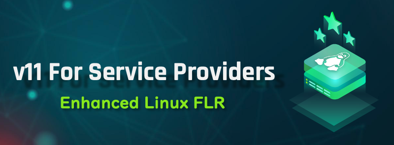 v11 For Service Providers - Enhanced Linux File Level Recovery